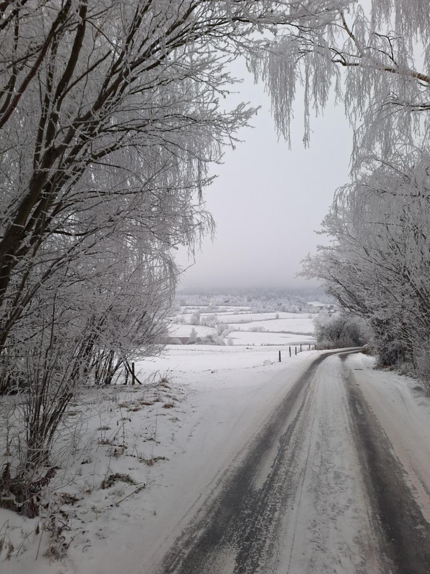 Ubytovani U Krivanku 2 Telč المظهر الخارجي الصورة