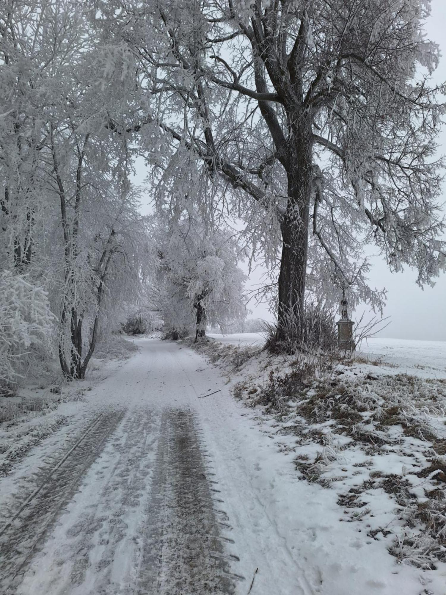 Ubytovani U Krivanku 2 Telč المظهر الخارجي الصورة